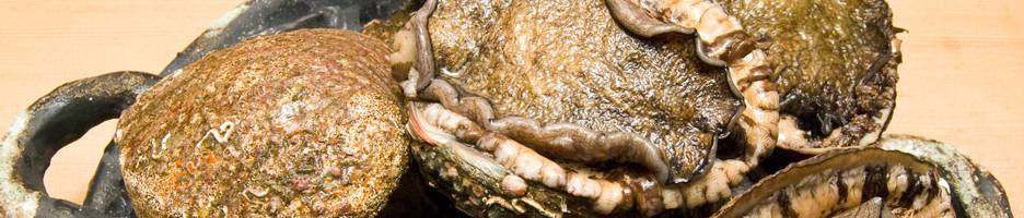 今月の厳選食材